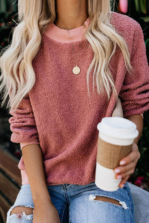 Rose teddy long-sleeve pullover with crew neck and textured fuzzy knit