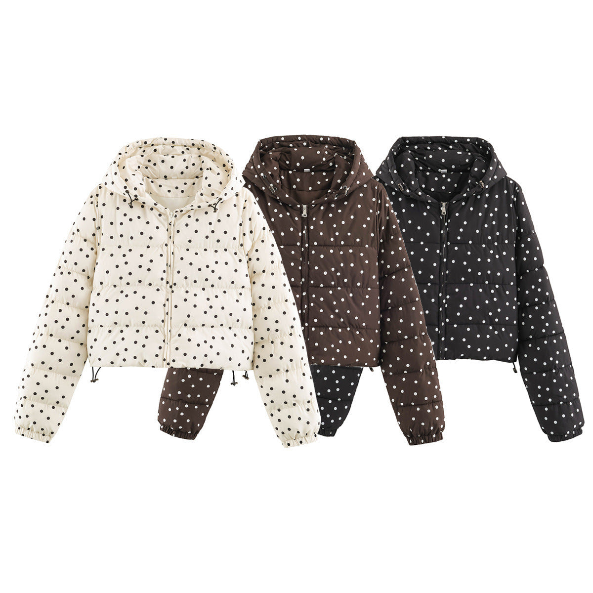 Short hooded polka-dot cotton puffer jacket set in beige, brown, and black with front zip